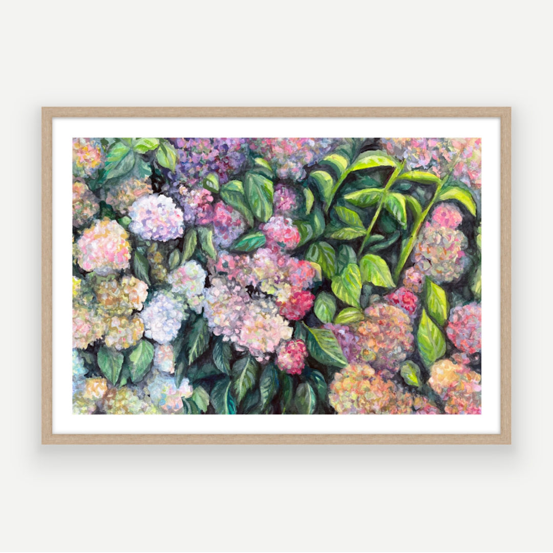 Mother's Hydrangeas Art Print