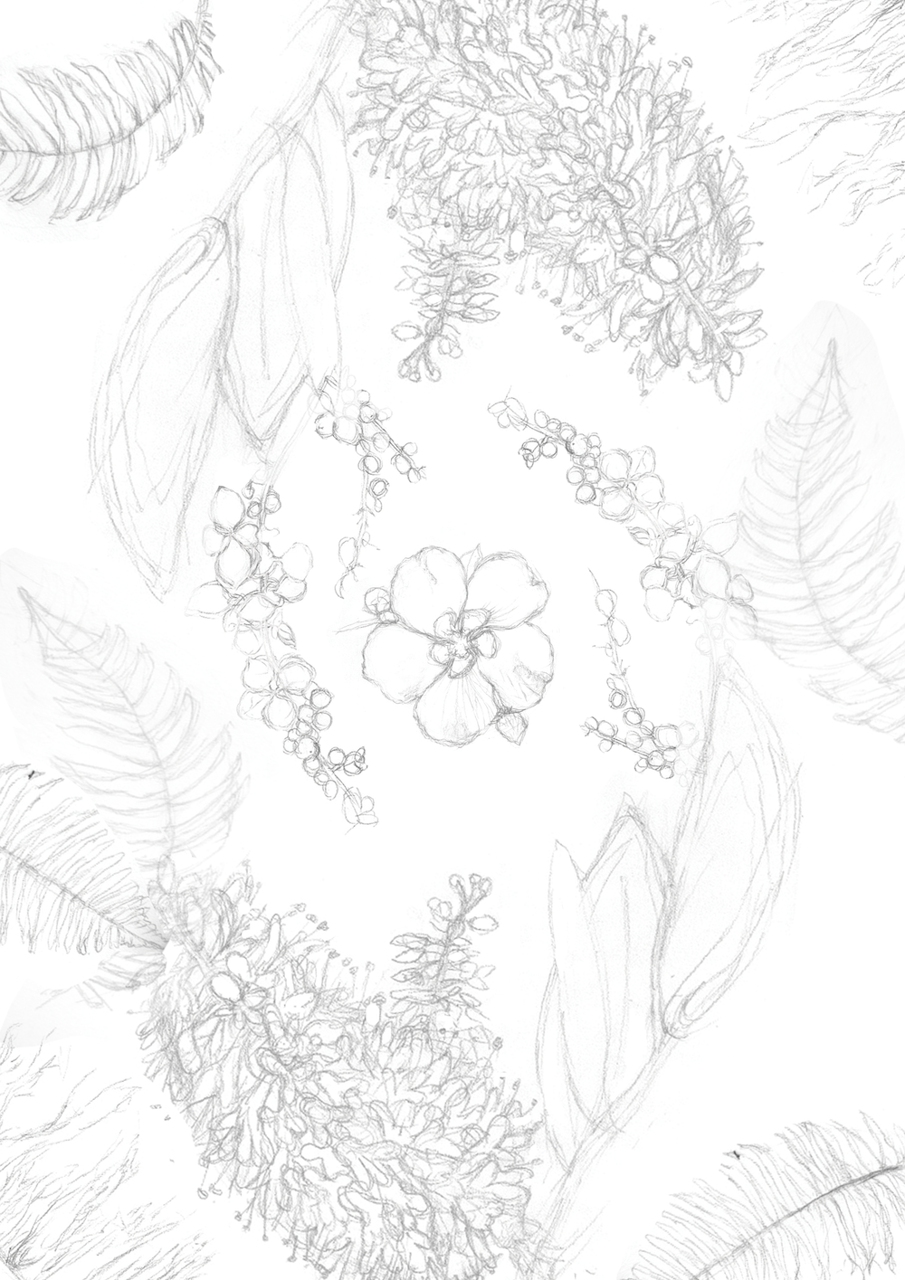 Native New Zealand Artwork in progress