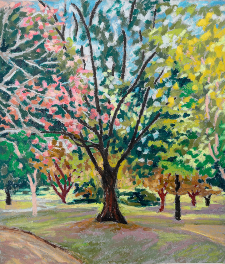Trees in the park