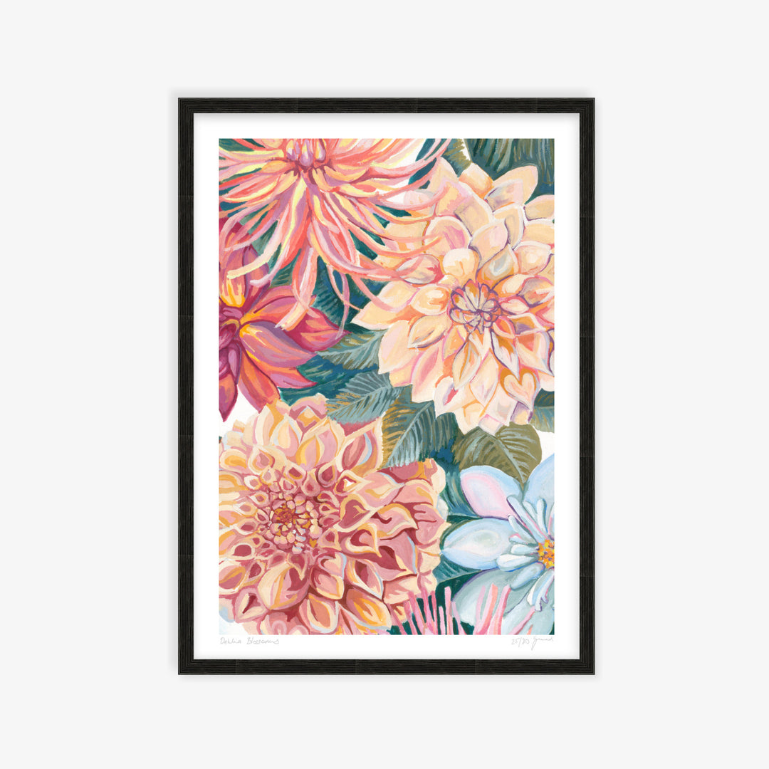 Dahlia Blossoms Art Print
