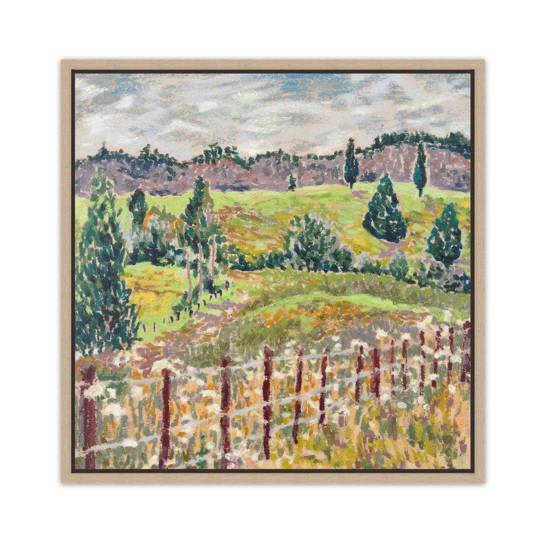 Waitomo I
