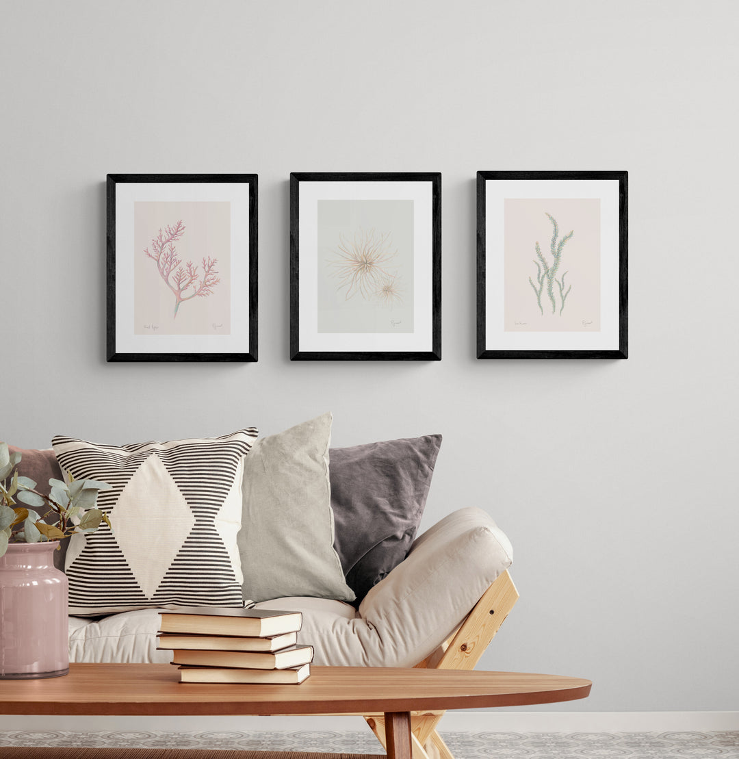 NZ Seaweed & Spinifex 3 Print Set