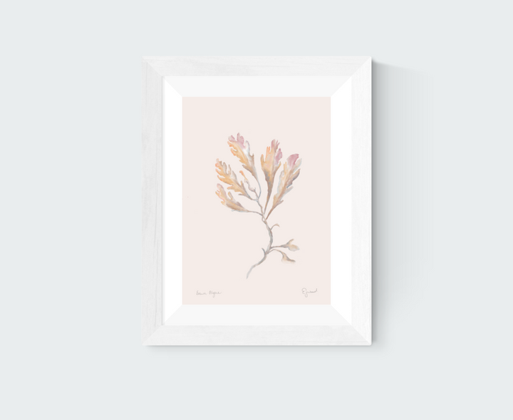 Brown Algae Art Print