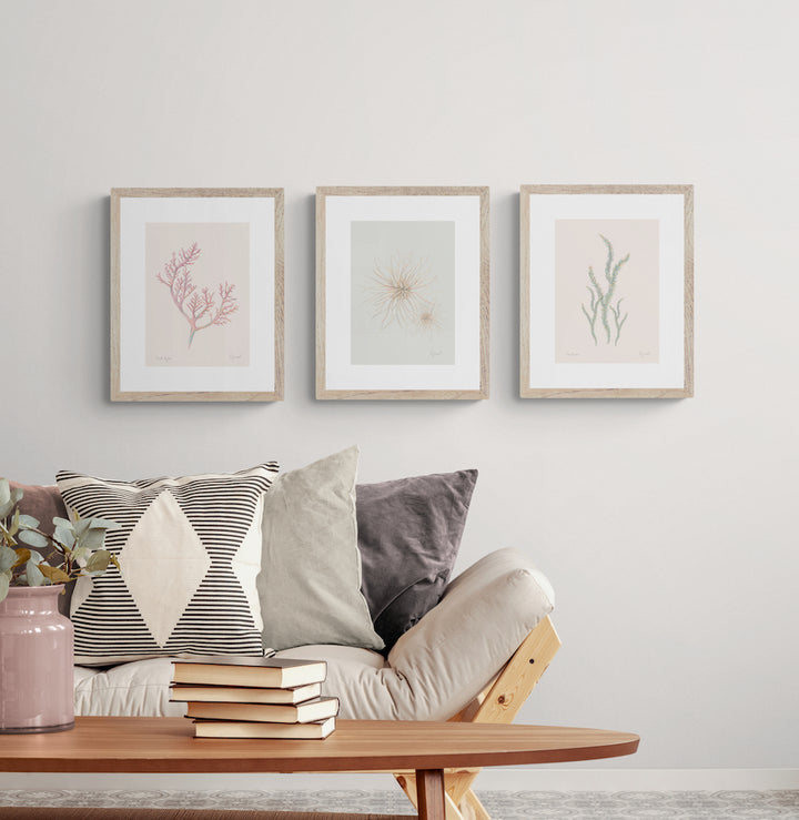 NZ Seaweed & Spinifex 3 Print Set
