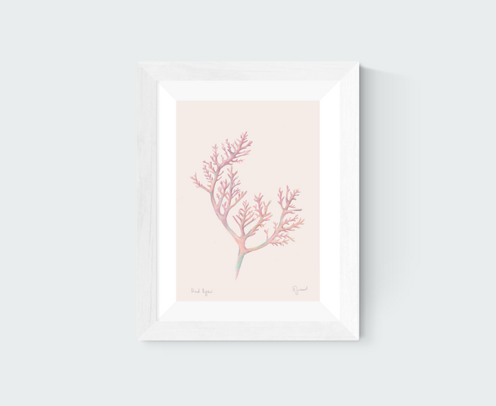 Red Agar Art Print
