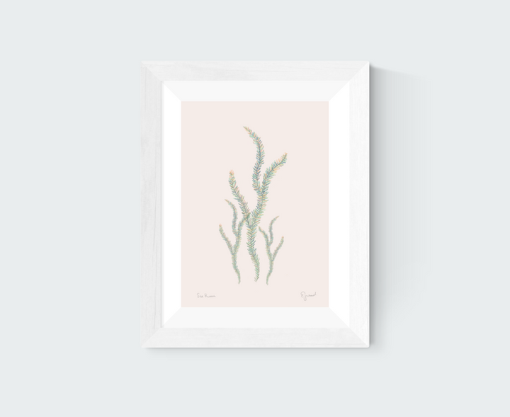 Sea Rimu Art Print