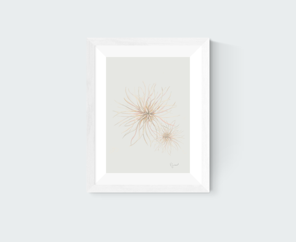 Beach Grasses 3 print set