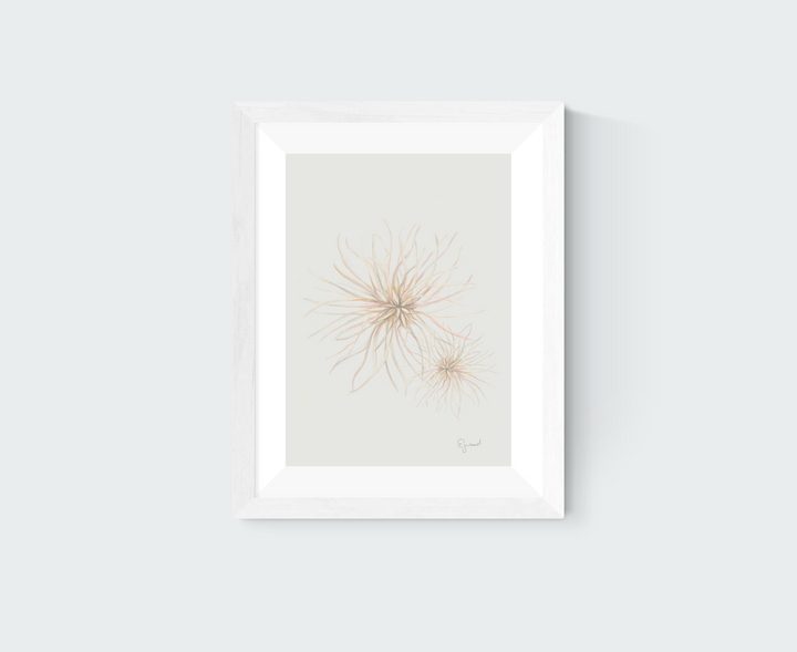 Beach Spinifex