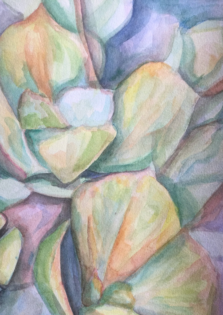 Beach Succulent Art Print