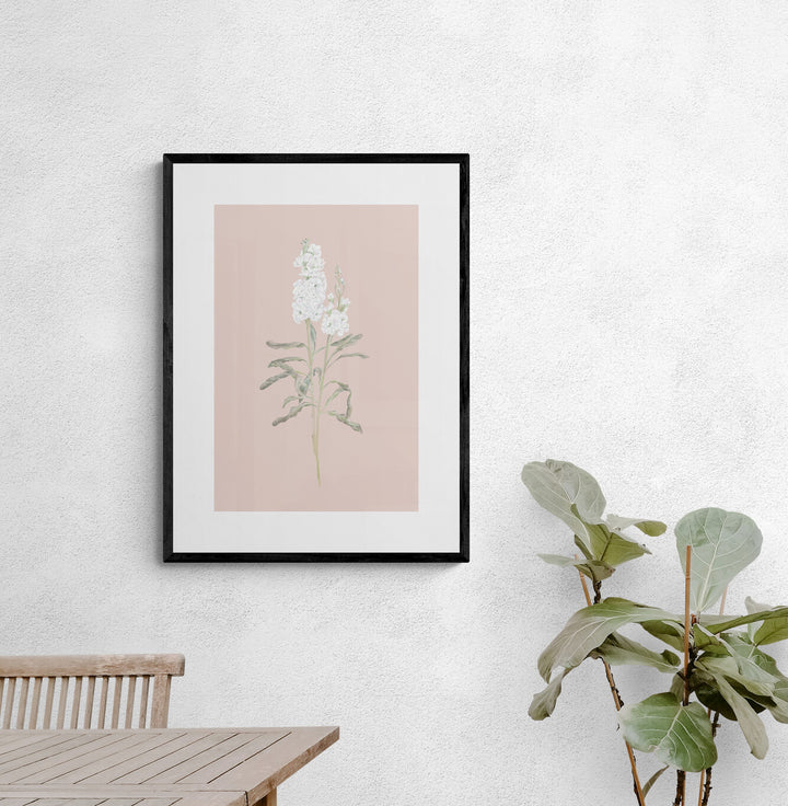 White Stock Flower Art Print