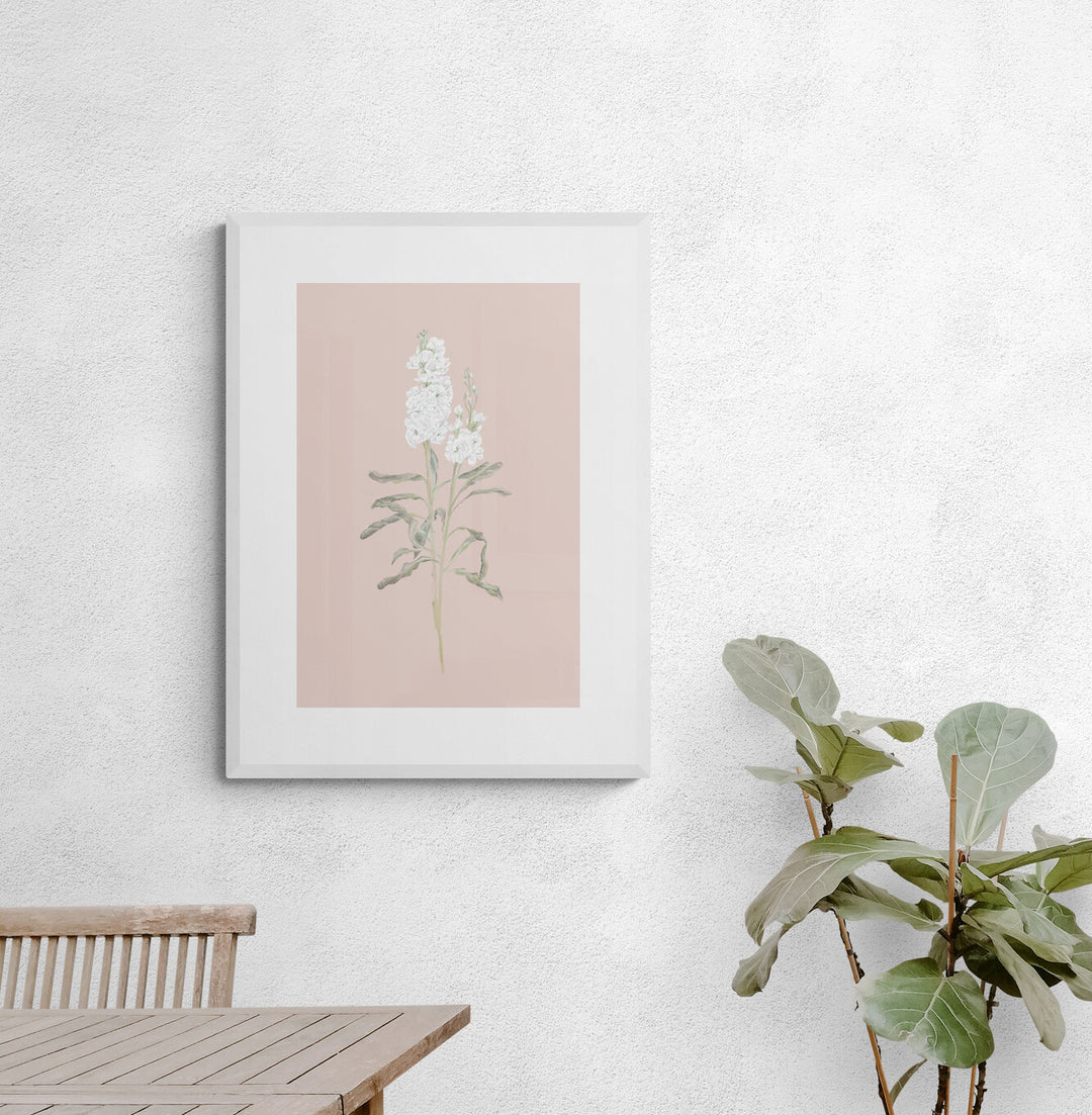 White Stock Flower Art Print