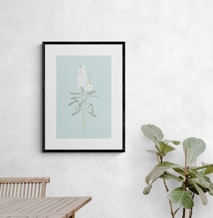 White Stock Flower Art Print