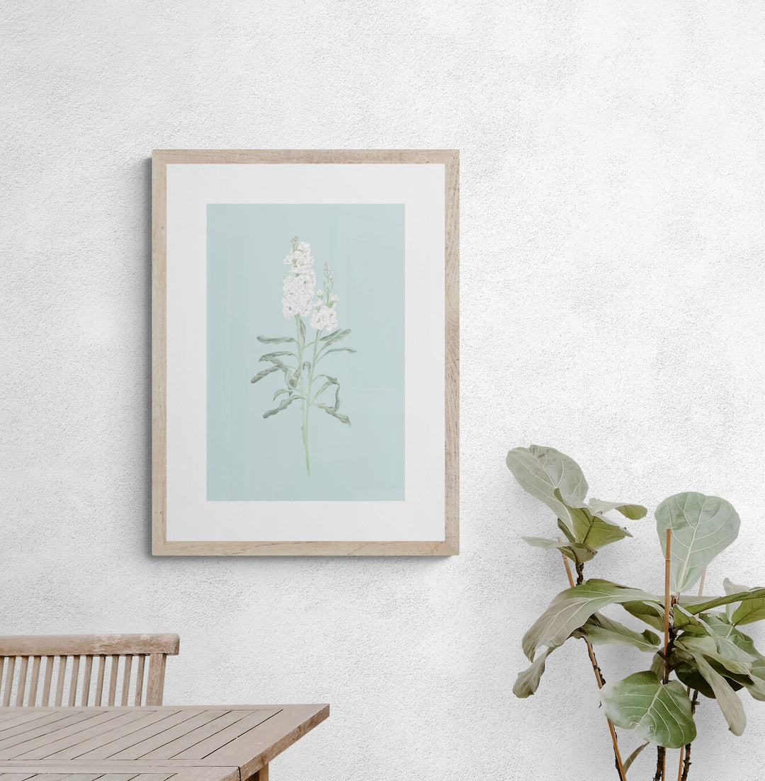 White Stock Flower Art Print