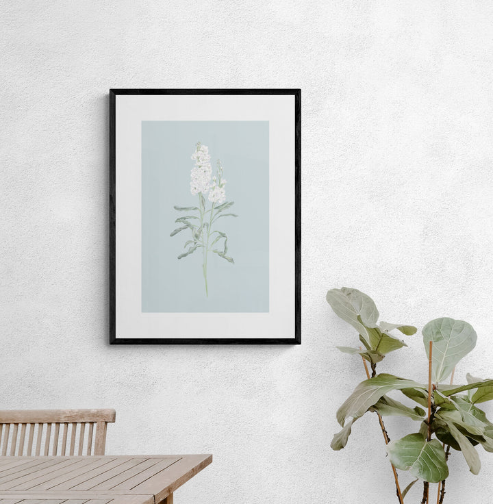 White Stock Flower Art Print
