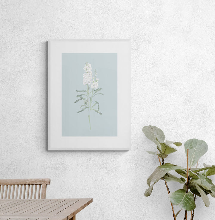 White Stock Flower Art Print