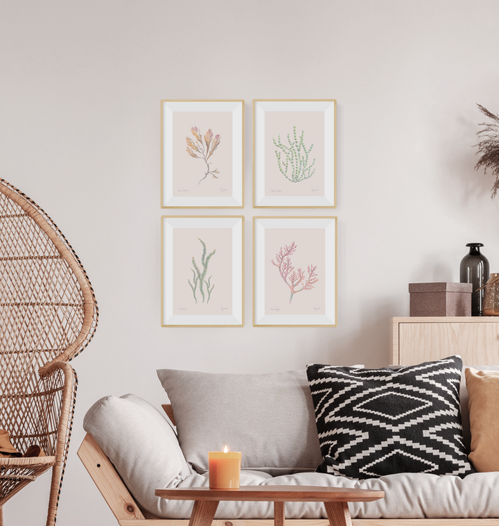 Brown Algae Art Print